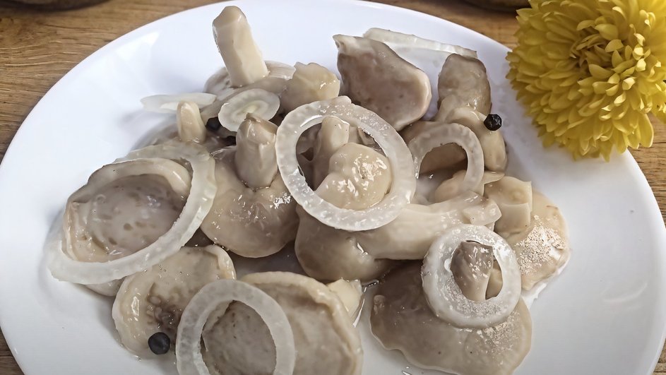 Маринованные маслята с луком на белой тарелке Маринованные маслята с луком на белой тарелке