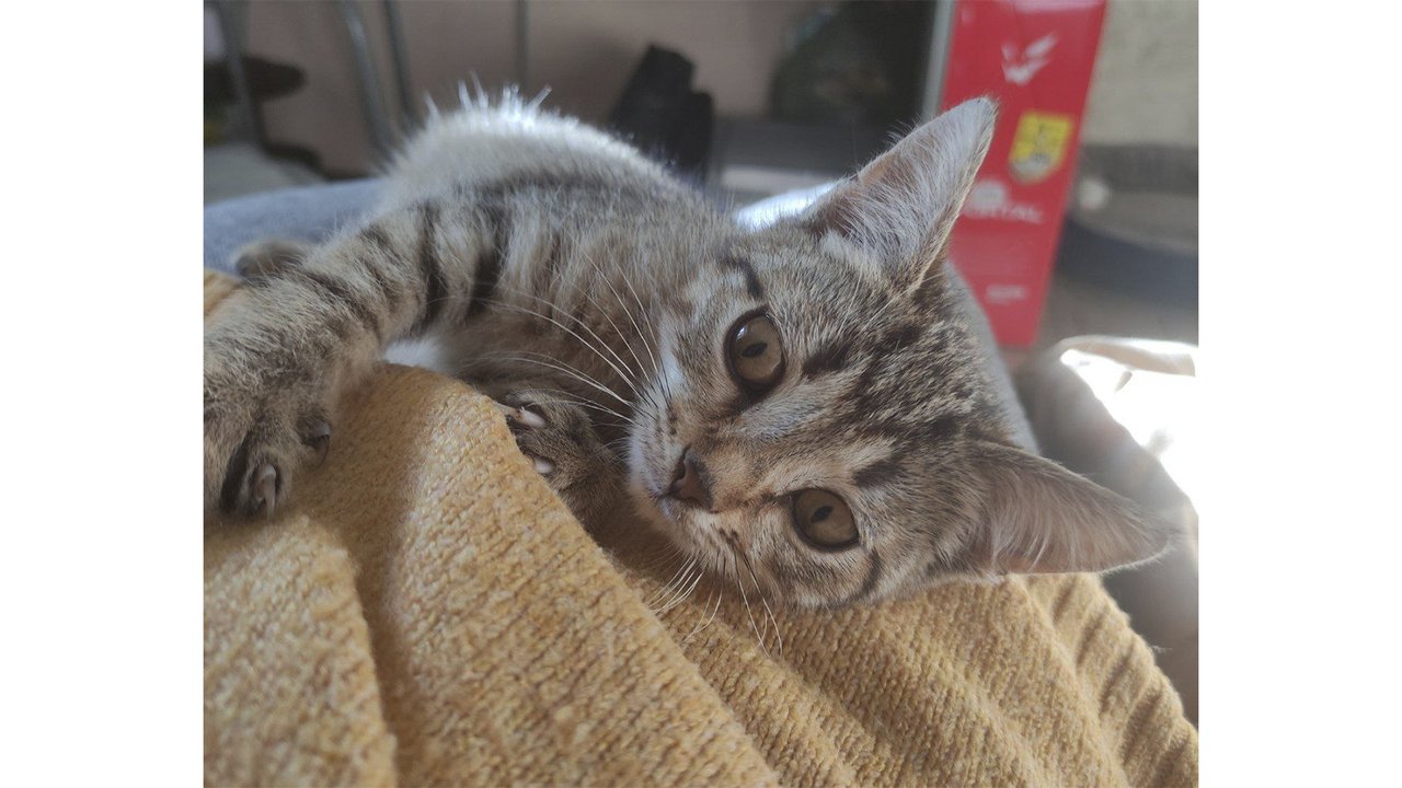 Гайка ШтуКОТурова Гайка ШтуКОТурова