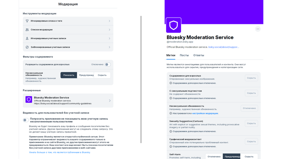 скриншот инструментов модерации в Bluesky