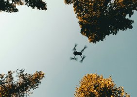 Беспилотник над деревьями