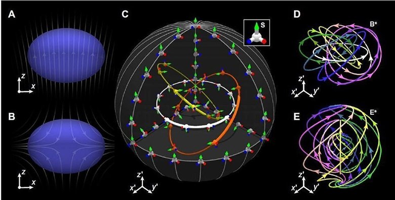 Схема устройства трехмерного скирмиона, квантовой квазичастицы. Источник: advances.sciencemag.org