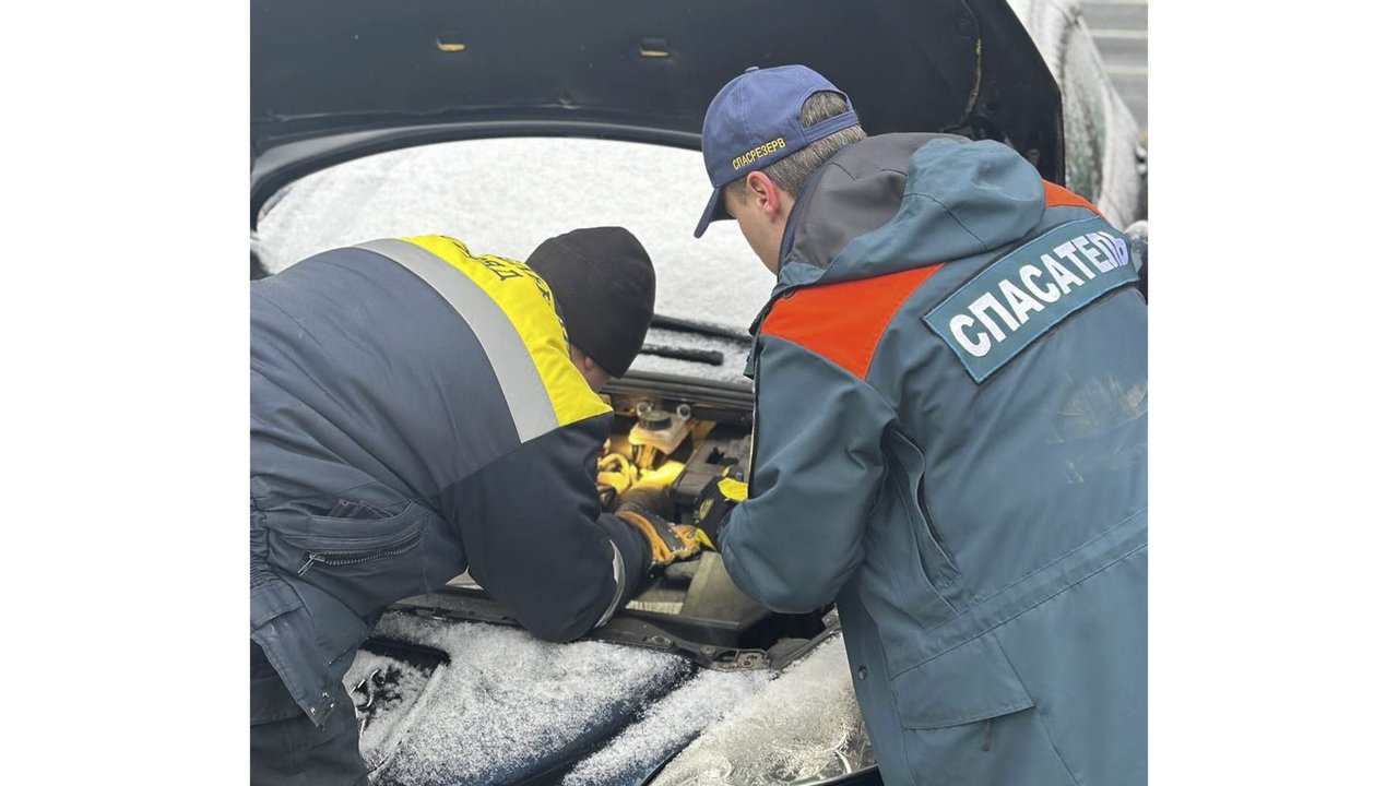 В Москве спасли котенка, который хотел быть львом