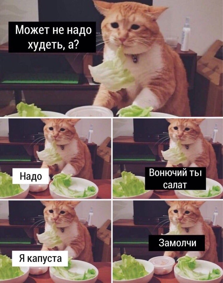 Может быть майские — повод задуматься о фигуре? Может быть майские — повод задуматься о фигуре?