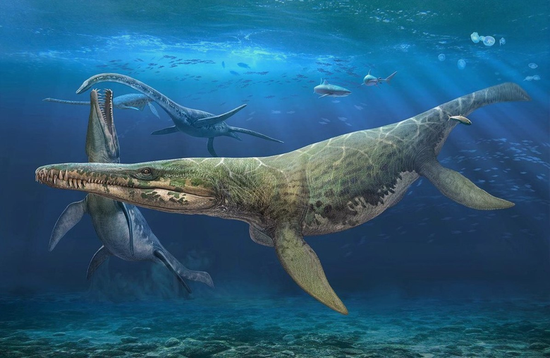 Так плиозавр мог выглядеть в далеком прошлом. Фото: Pinterest