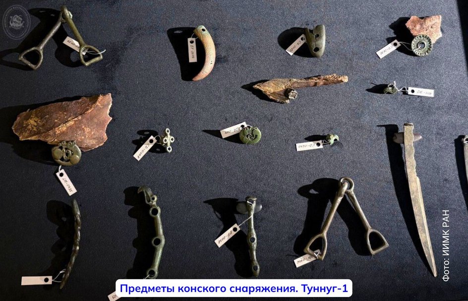 образцы конского снаряжения образцы конского снаряжения