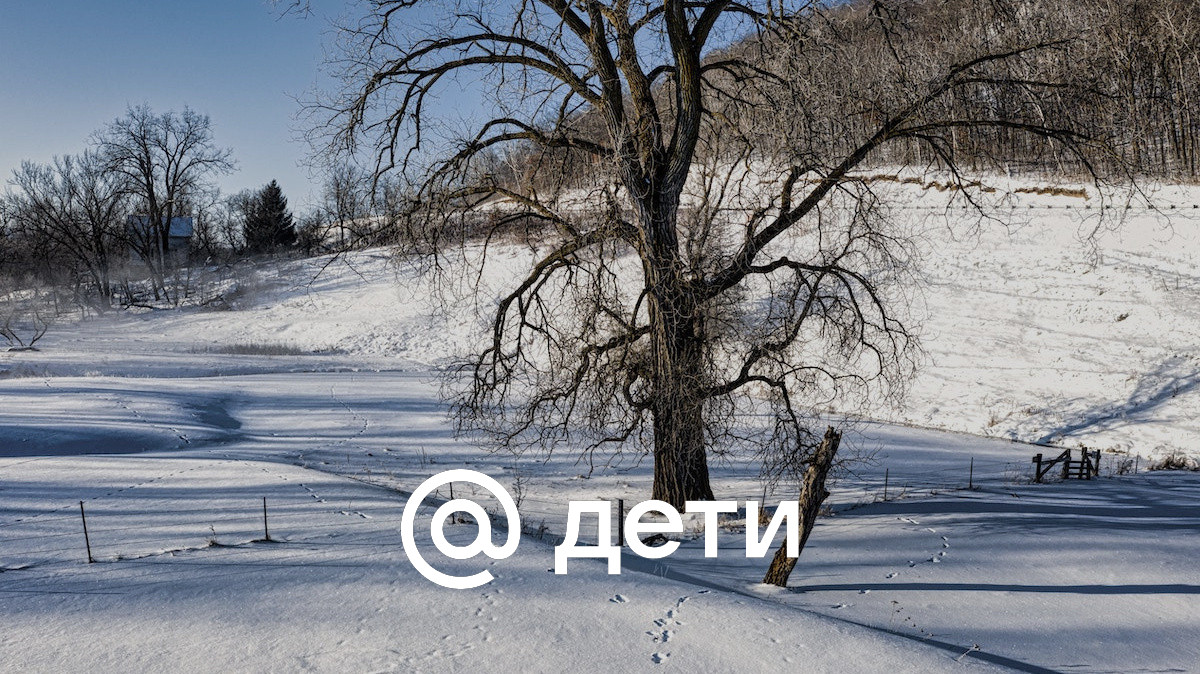 Спасти младшего брата