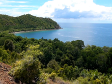 Кадр из Папуа 3D: Секретный остров каннибалов