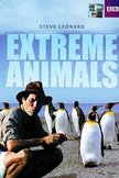 Постер BBC: Животные-экстремалы: 1 сезон