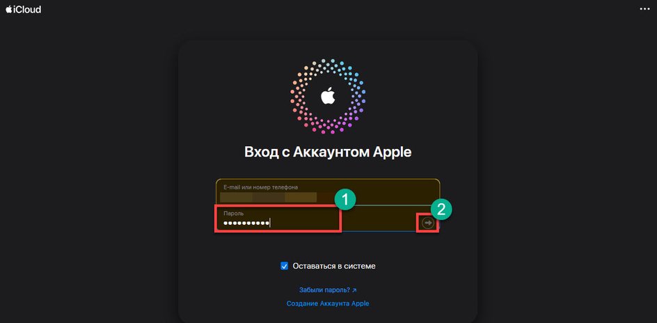 Скриншот icloud, с котором выделена строка для ввода пароля Скриншот icloud, с котором выделена строка для ввода пароля