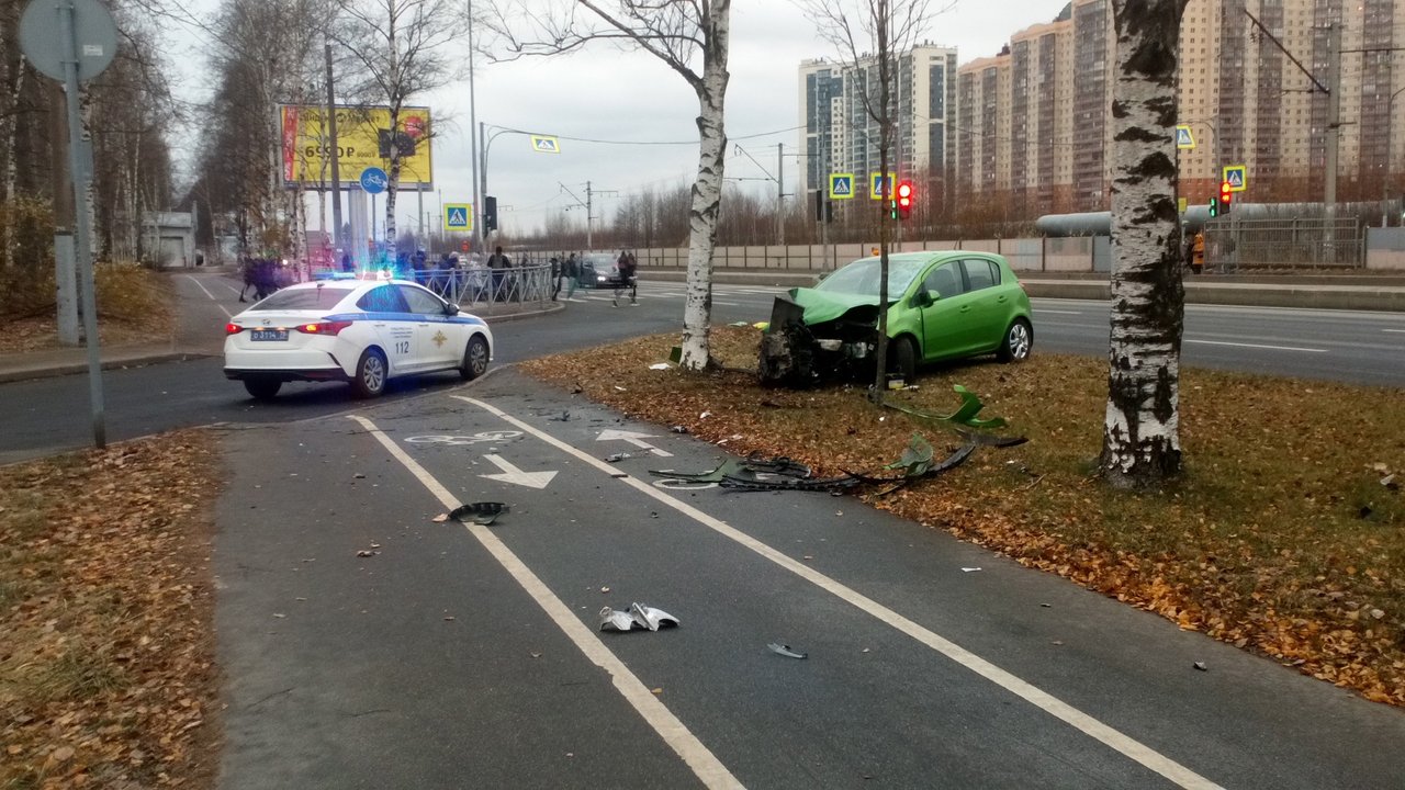 Девушка на Corsa сбила пешехода и влетела в дерево на Приморском шоссе -  Новости Mail.ru