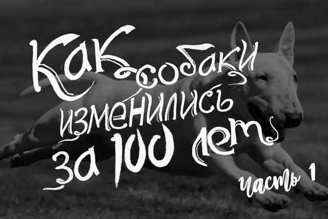 d4074cb7f26040ebbfaf914b5ca3d91f.jpg