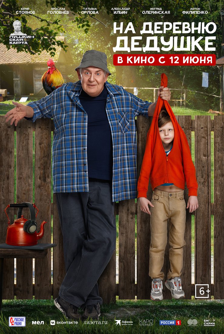 На деревню дедушке: постер