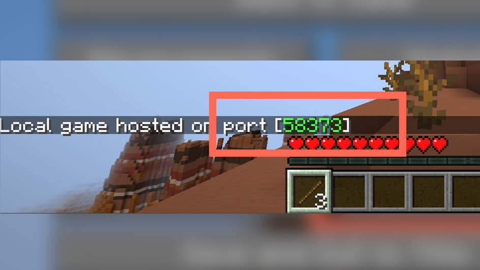 Номер порта для подключения других игроков в Minecraft Номер порта для подключения других игроков в Minecraft