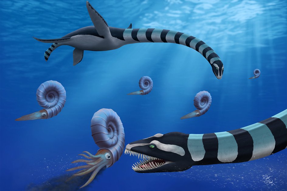 Traskasaura sandrae Traskasaura sandrae