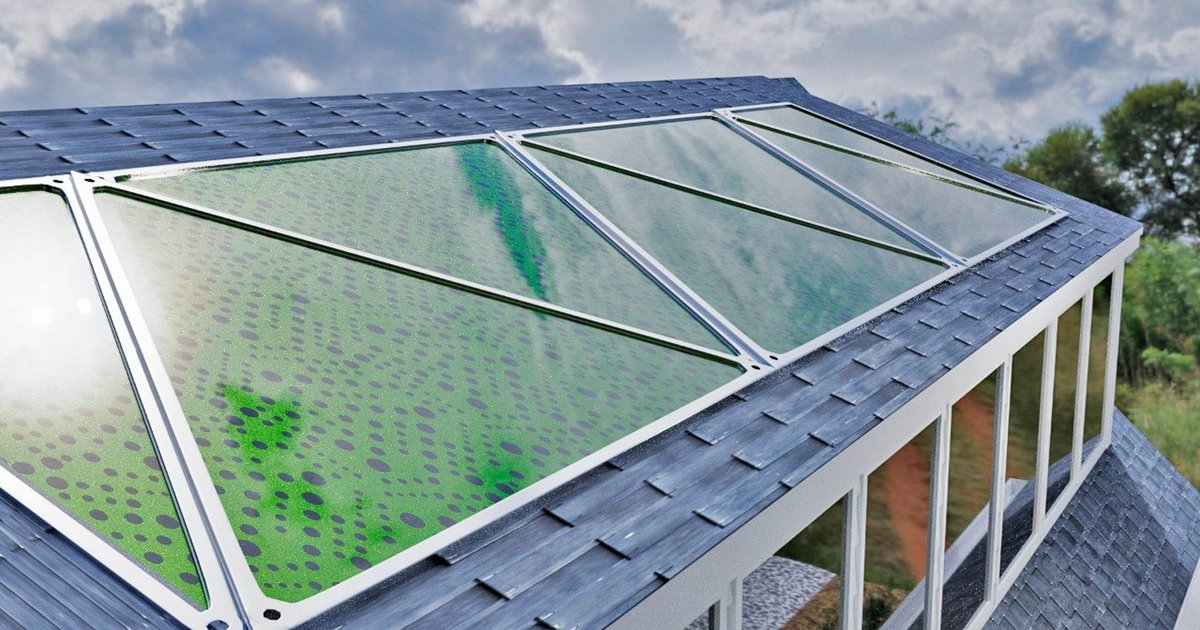 Окна из водорослей вырабатывают топливо и поглощают углекислый газ