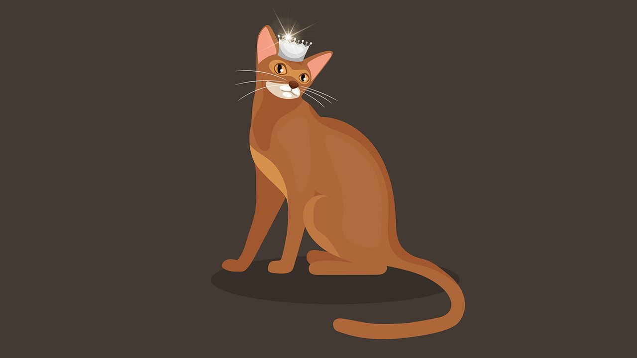 Кошка