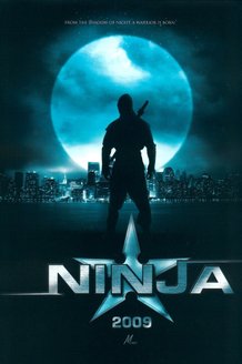 Ниндзя: постер
