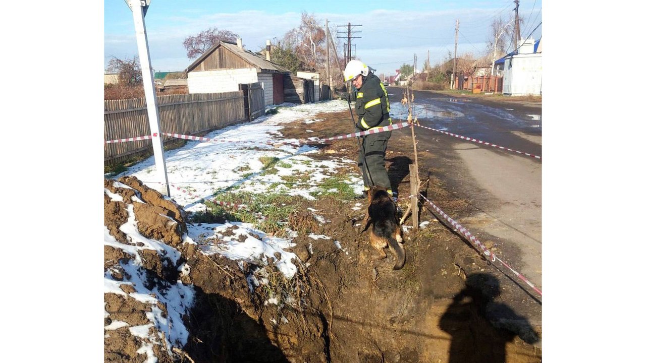 На Алтае пес несколько дней звал на помощь из ямы