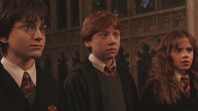 Кадр из фильма «Гарри Поттер и Тайная комната»