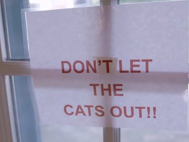 Одна из табличек в доме Роберта — написано «Кошек не выпускать»