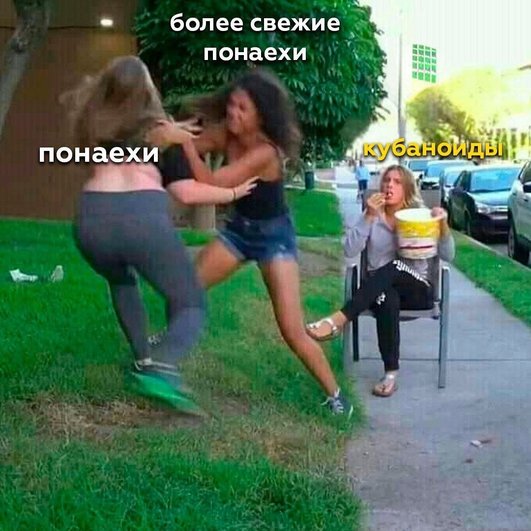 На картинке изображены две девушки, одна из которых пытается сбить с ног другую. Вокруг них зеленая трава и деревья, над ними надписи «Понаехи» и «Более свежие понаехи». На заднем плане видна женщина, сидящая на стуле и держащая в руках ведро с мороженым. Подпись над женщиной «Кубаноиды» На картинке изображены две девушки, одна из которых пытается сбить с ног другую. Вокруг них зеленая трава и деревья, над ними надписи «Понаехи» и «Более свежие понаехи». На заднем плане видна женщина, сидящая на стуле и держащая в руках ведро с мороженым. Подпись над женщиной «Кубаноиды»