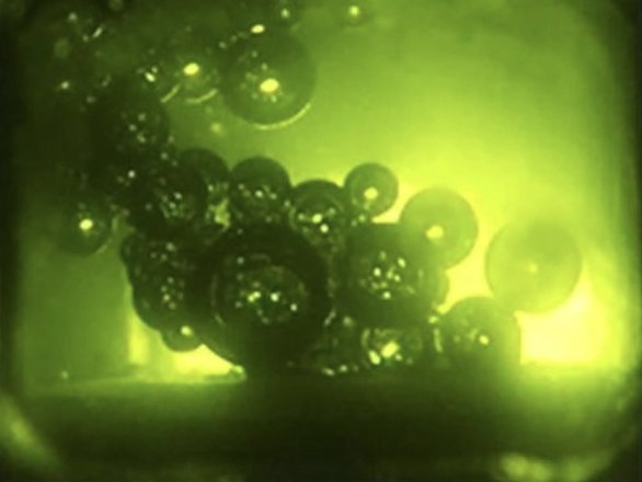 Пузырьки пара в масле под микроскопом. Фото: Food Research International