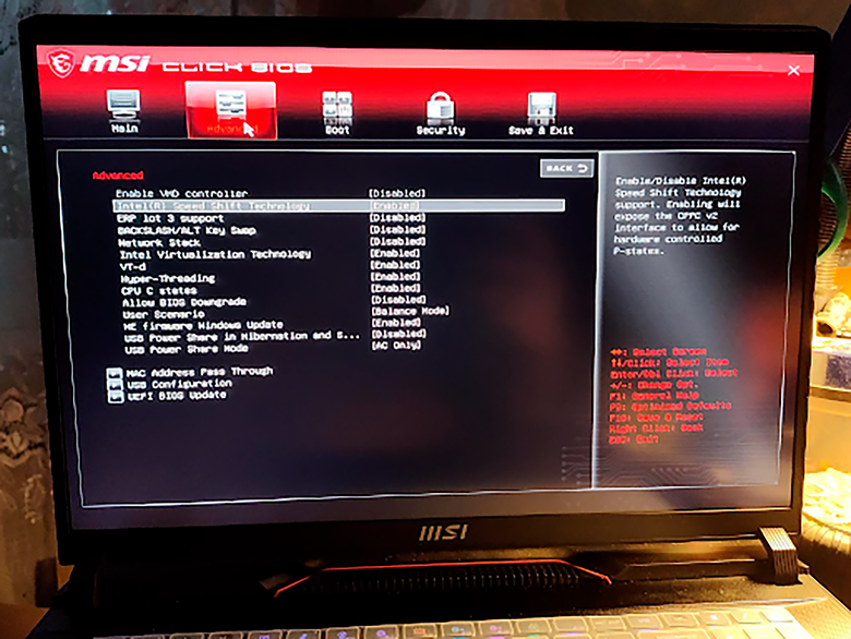 Вид UEFI/BIOS на ноутбуке MSI