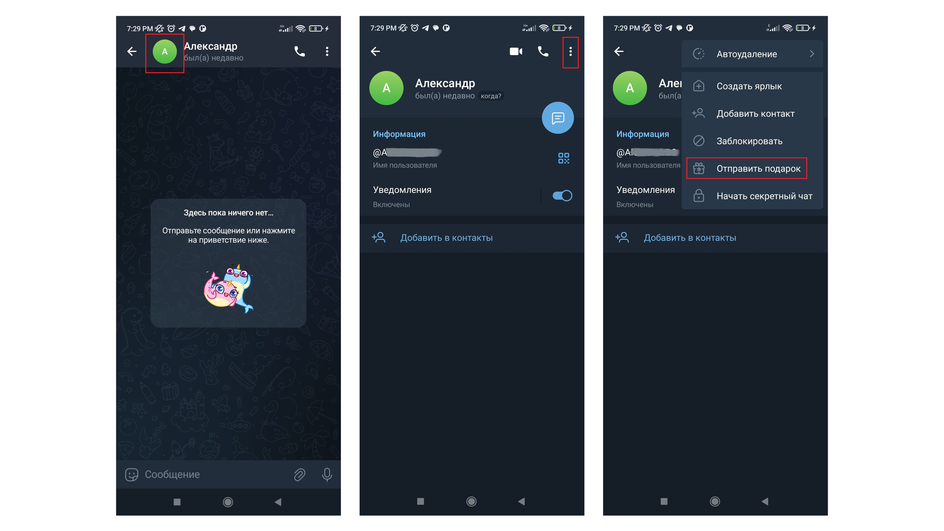 Скриншоты мессенджера Telegram, на которых выделены аватарка собеседника в диалоге, три точки в его профиле и опция «Отправить подарок»