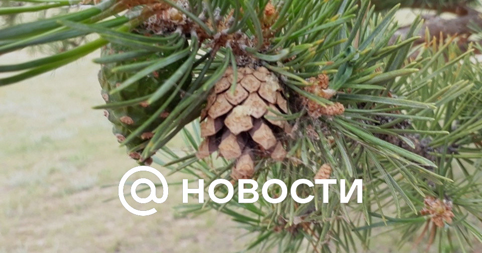 Проблема 2023 года