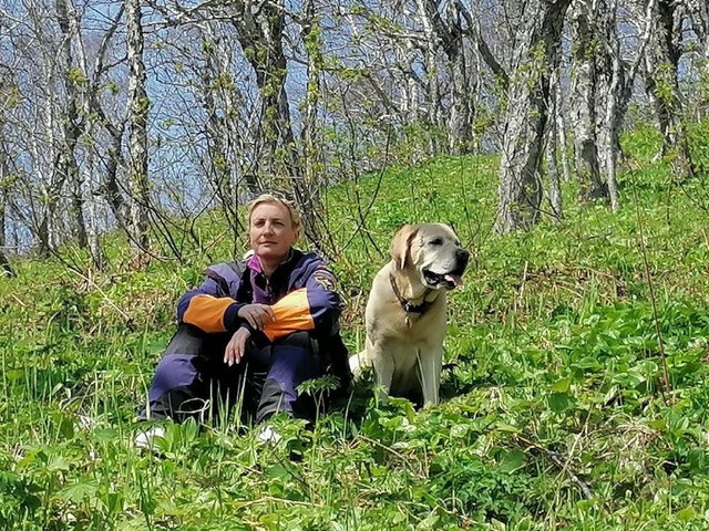 Что такое ПСС, или Как собаки ищут людей в лесу и под завалами