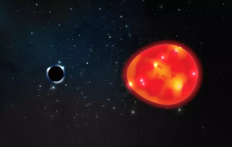 Художественная иллюстрация маленькой черной дыры «Единорог» и растягивающего эффекта, который она оказывает на звезду-компаньон. Фото: Lauren Fanfer