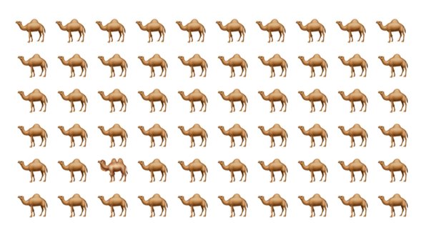 Найдите верблюда с двумя горбами за 30 секунд