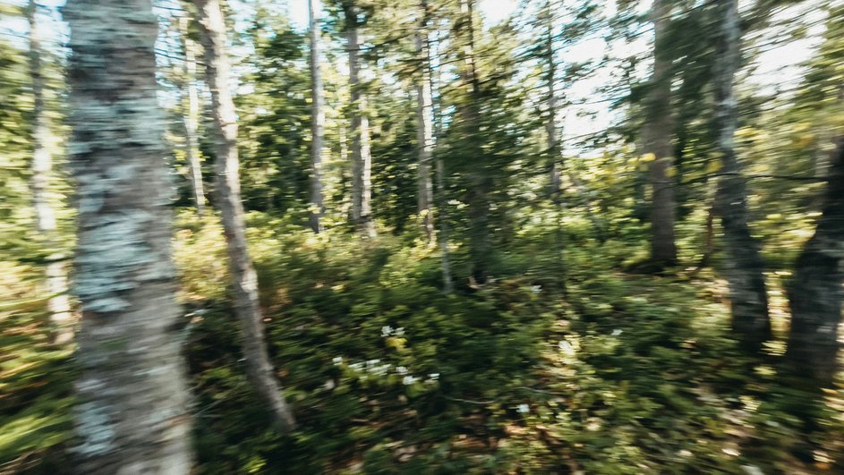 Unsplash Unsplash