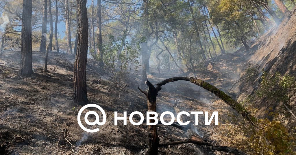 В трех районах Челябинской области запретили жарить шашлыки и жечь ...