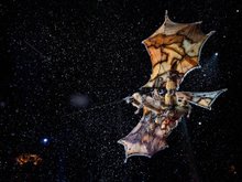 Кадр из Cirque du Soleil: Сказочный мир