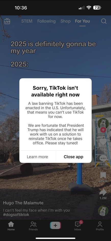 скриншот заблокированного TikTok в США