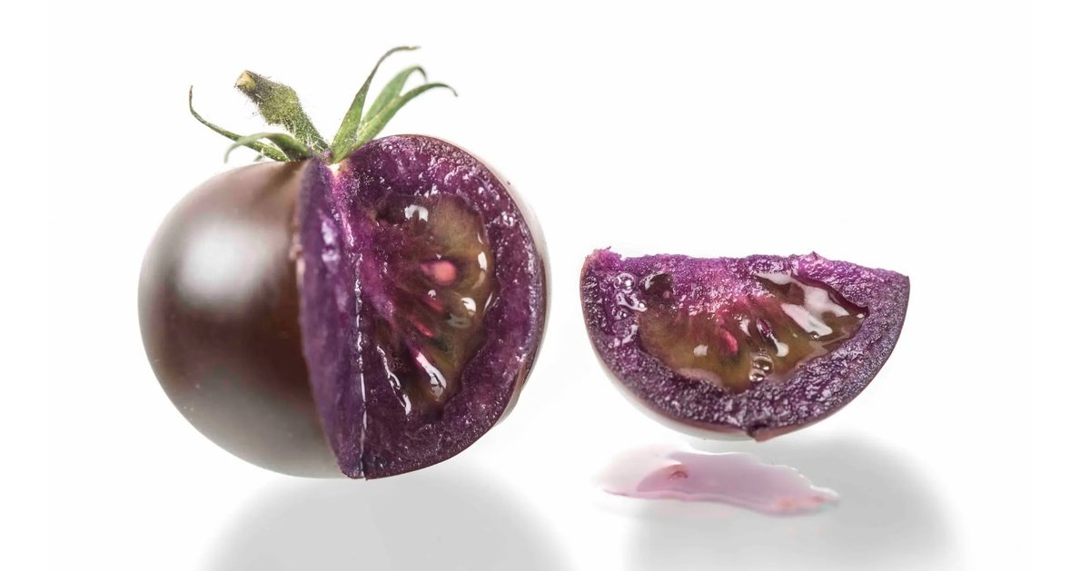 В США разрешили выращивать фиолетовые ГМ-помидоры (фото)