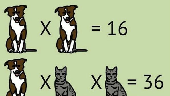 Подберите числа и раскройте секрет кошек, собак и попугаев