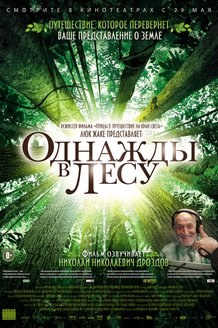 Однажды в лесу: постер