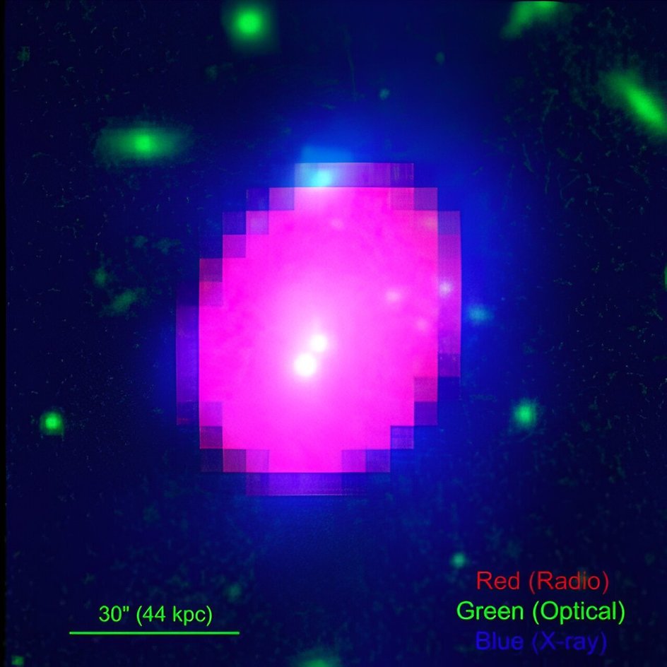 RGB (трехцветное) изображение Abell 2566, полученное путем правильного сочетания излучения, измеренного на частоте 1,4 ГГц, с VLA C-конфигурацией (красный), r-диапазоном Pan-STARRS (зеленый) и мягким рентгеновским диапазоном Chandra (синий).
