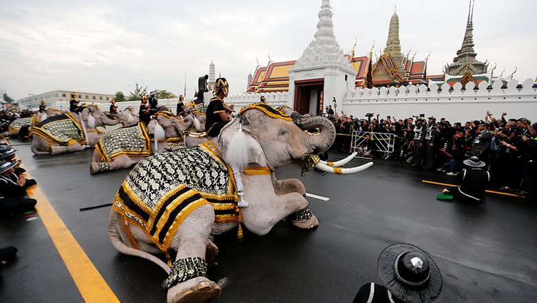 Слоны в Таиланде почтили память умершего короля