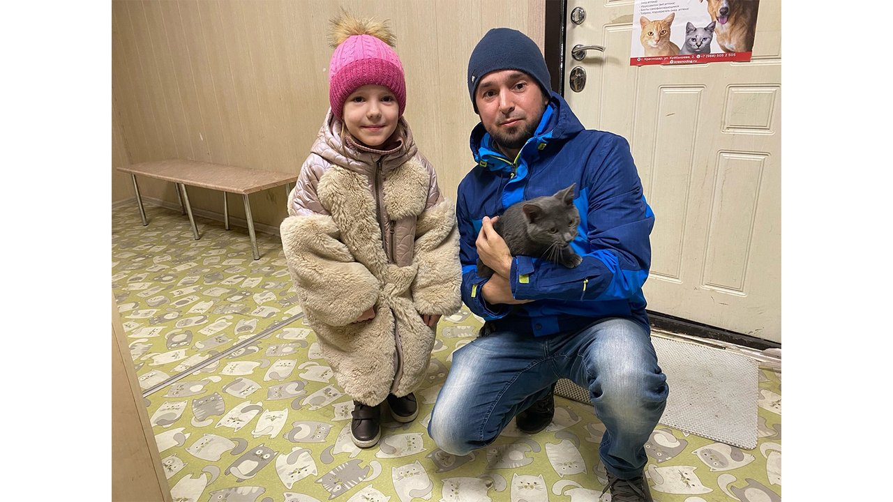 Котик по имени Бублик Котик по имени Бублик