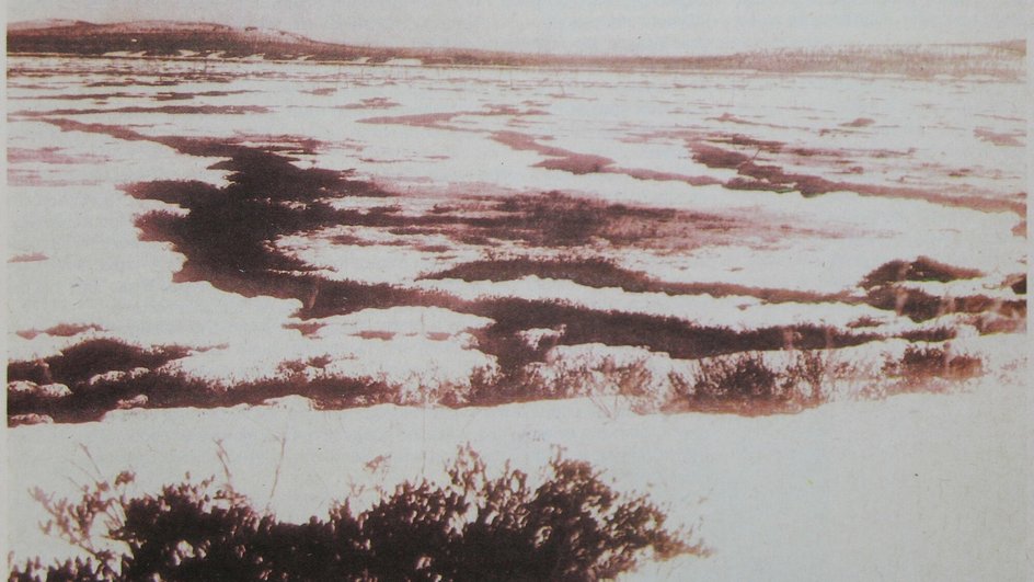 Подробнее Топи реки Тунгуски, в районе которых предположительно упал метеорит. Журнал «Вокруг света», 1931 год (фото: общественное достояние)
