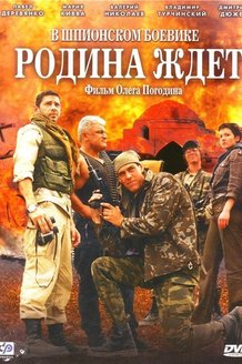 Родина ждет: постер