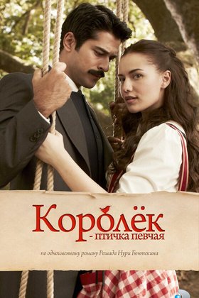 Королек — птичка певчая: постер