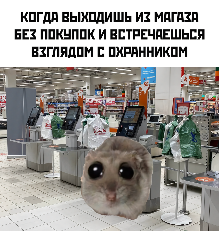 Хомяк на кассе в магазине