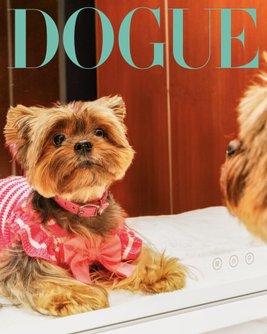 Dogue