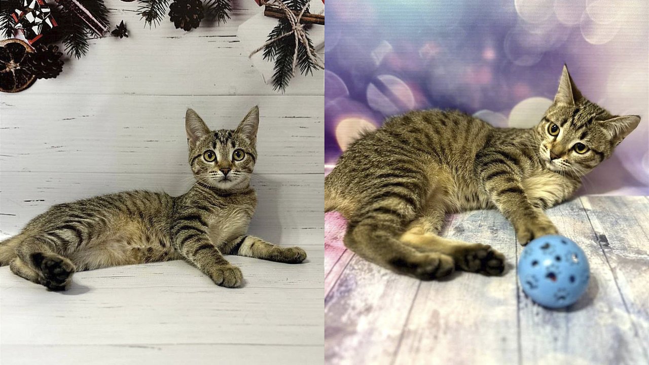 Гайка ШтуКОТурова Гайка ШтуКОТурова