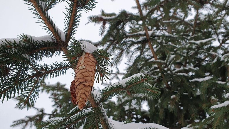 Погода в бендерах на 14