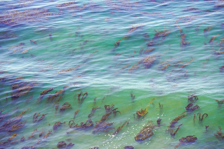 море море